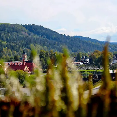 W Bialce Pod Kotelnica Bialka Tatrzanska